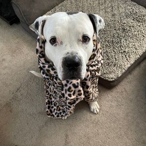 Meet your Posher, May